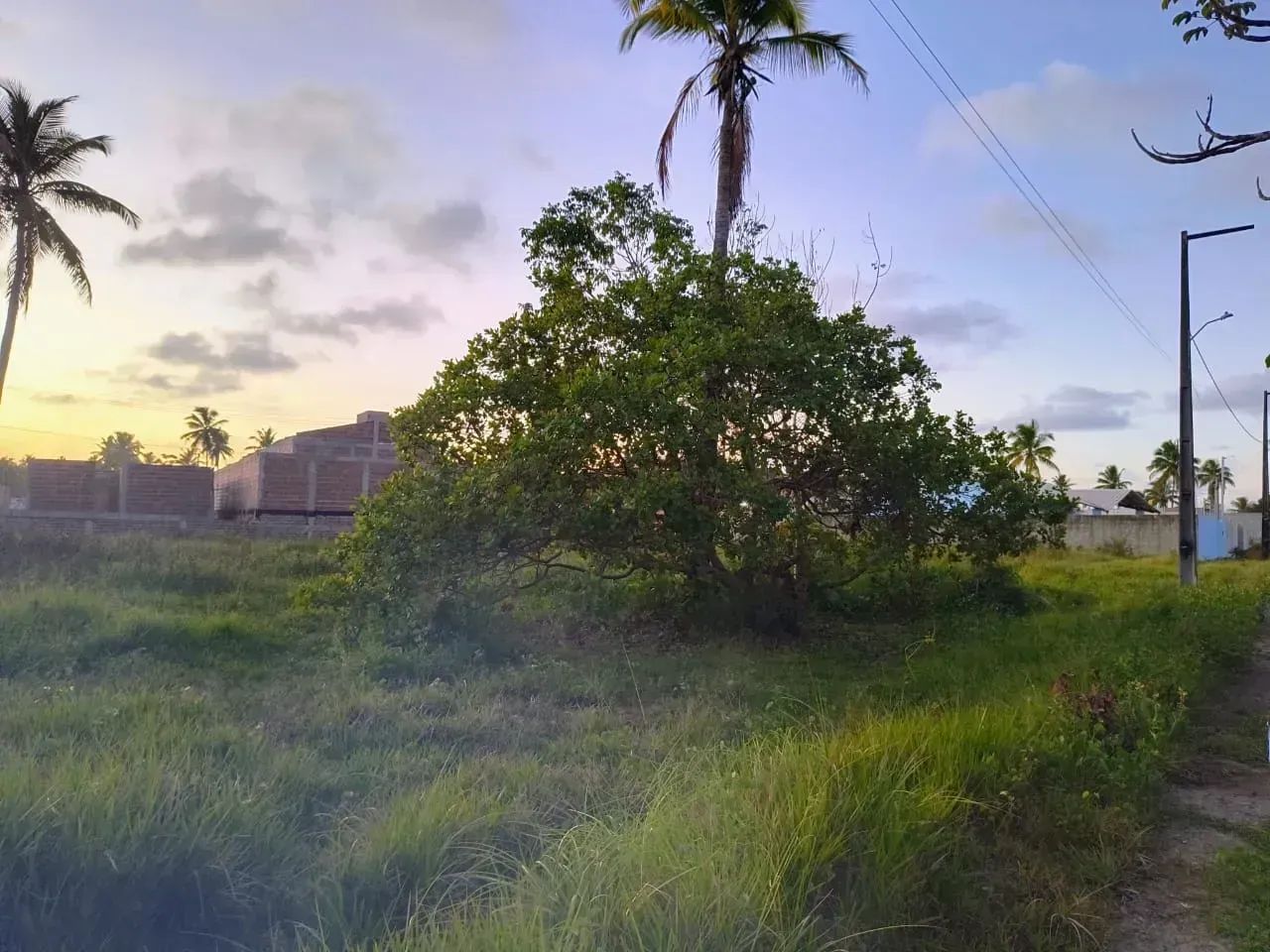 Repasse de lotes - Porto de Galinhas - Oportunidade!! - Foto 3