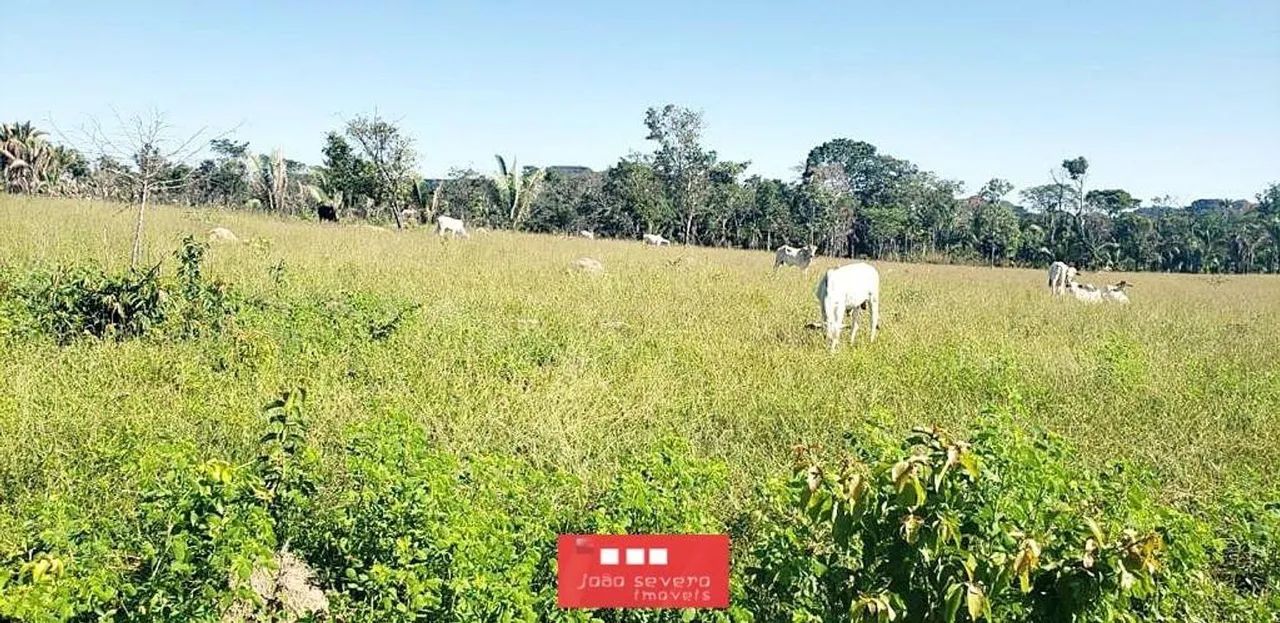 Fazenda para Venda em Recursolândia - Foto 5