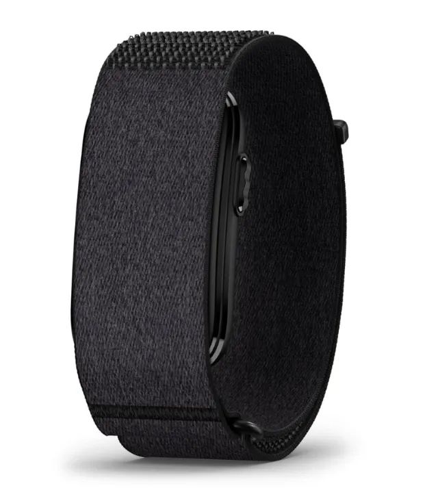 Garmin Cirqa Smart Band