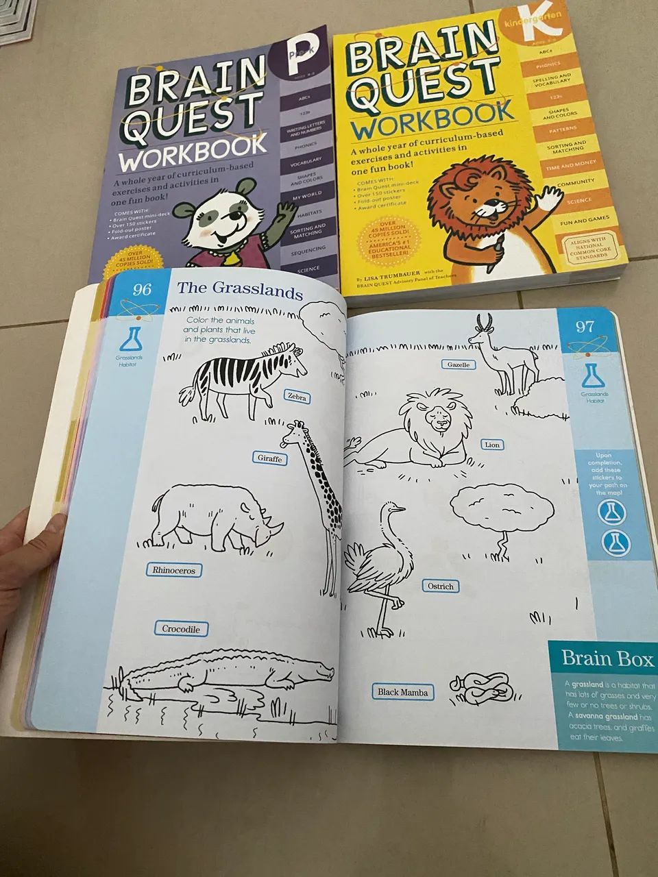 BRAIN QUEST livro inglês - Foto 2