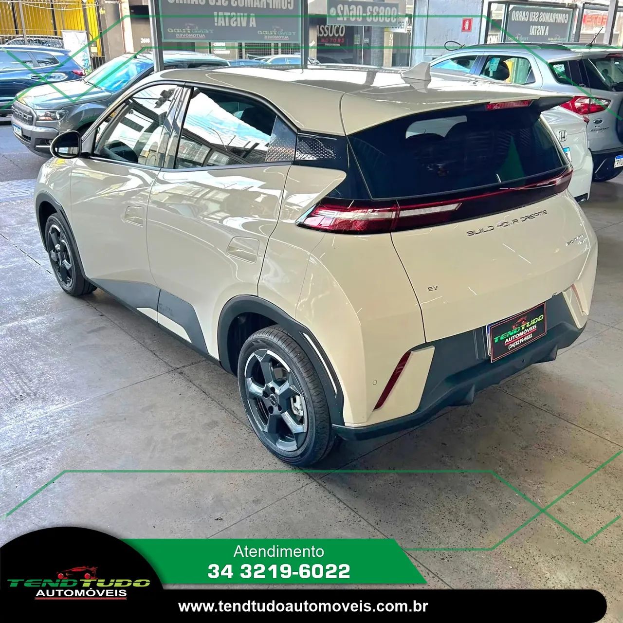 BYD Dolphin Mini (Elétrico) 2025 - Foto 4