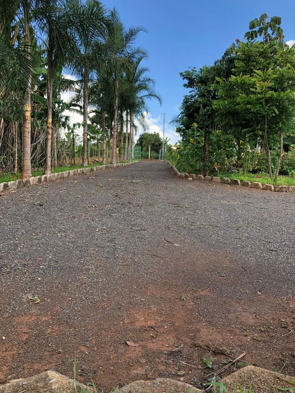 Chácara em Nerópolis  - Foto 2