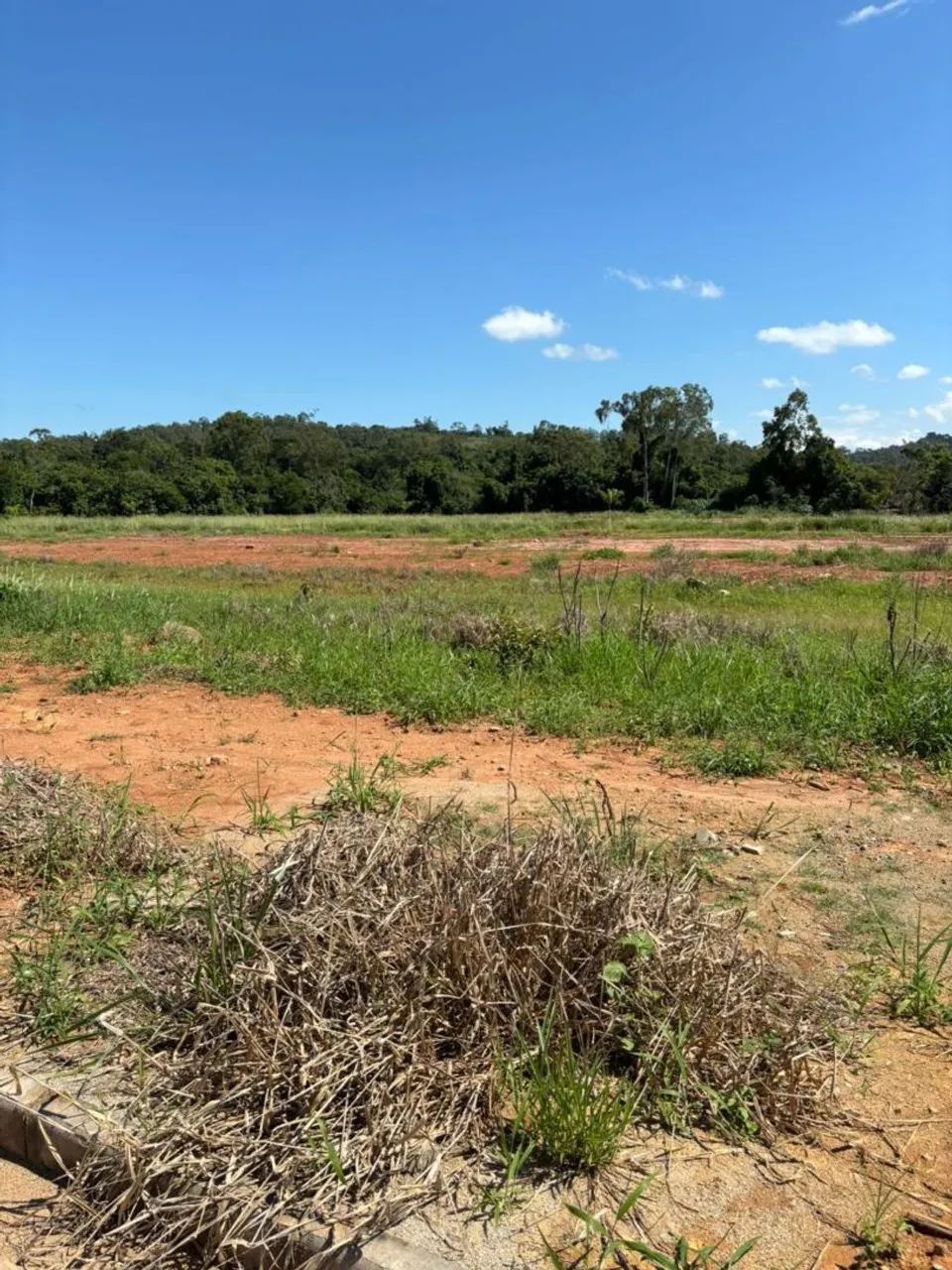 Lote Reserva Ecopark - Foto 4