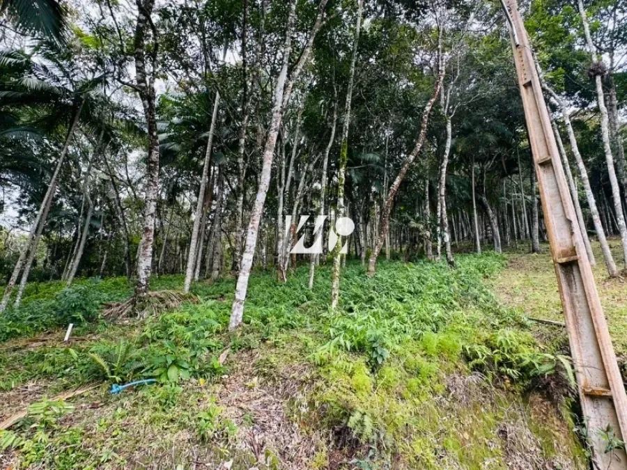 Terreno no Condomínio Rural Village Imperatriz - imv - Foto 4