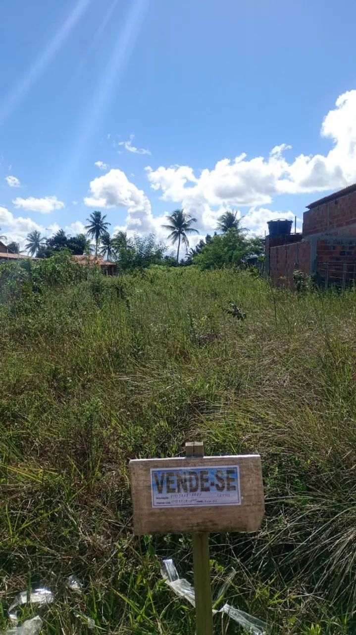 Terrenos  - Foto 2