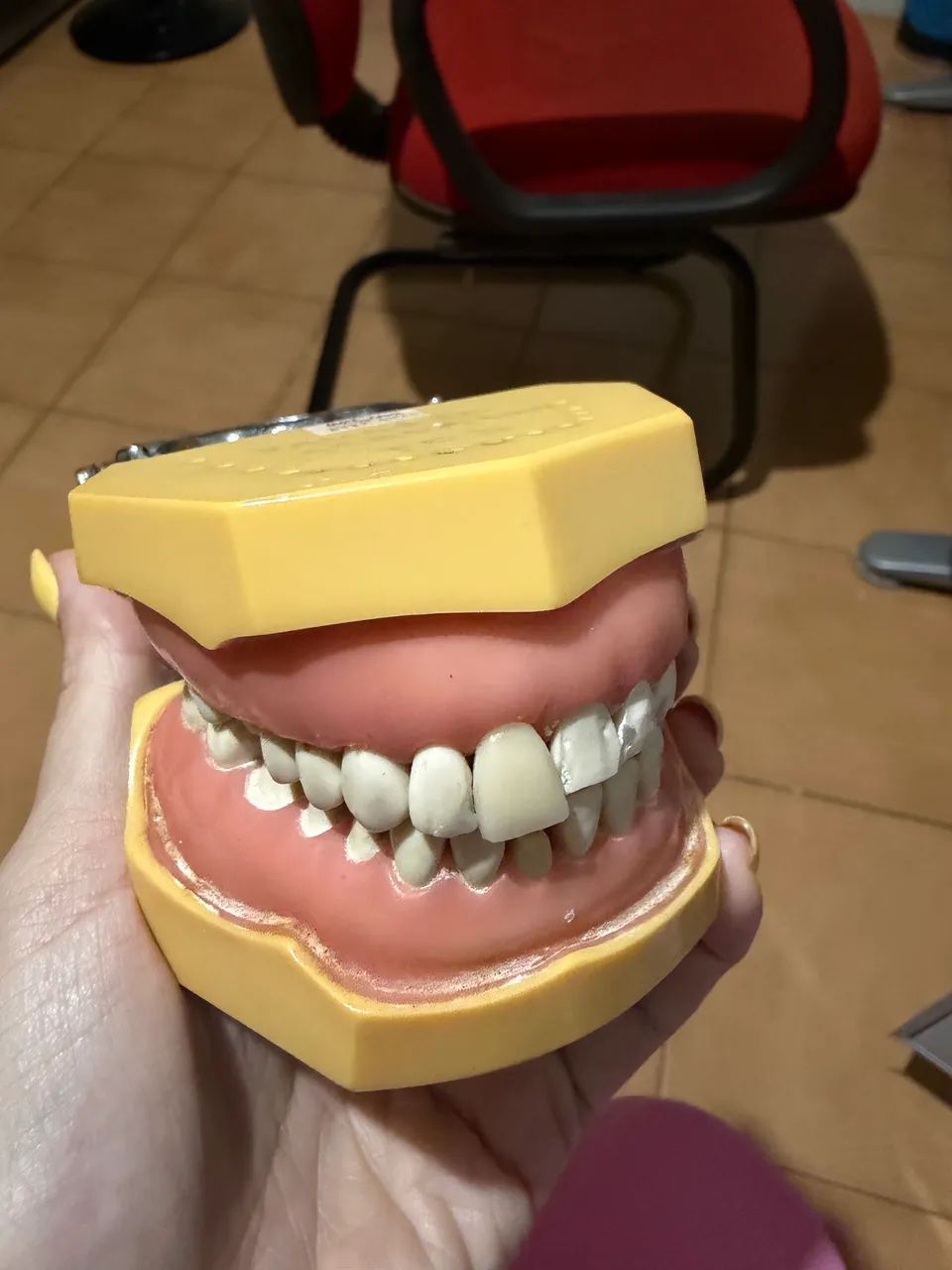 Vendo manequins de perio e dentística da MOM - Foto 2