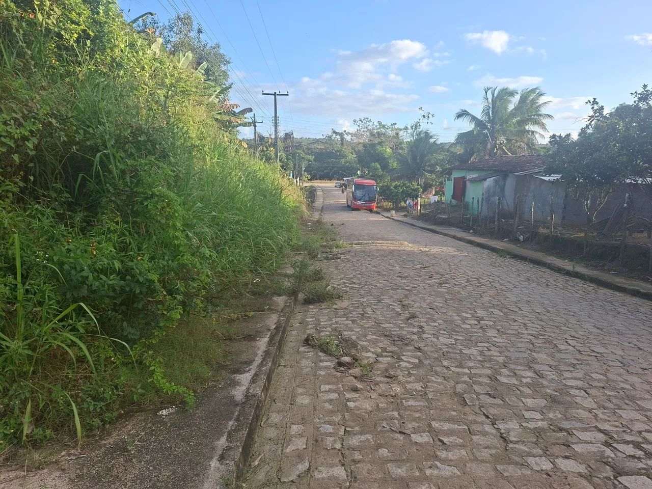 Sitio em Fleixeiras  - Foto 2