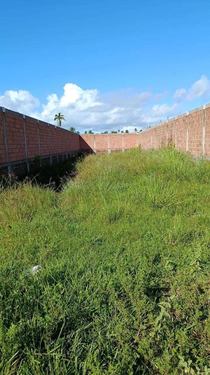 Vendo ou troco em  terreno em Sauaçuy  - Foto 3