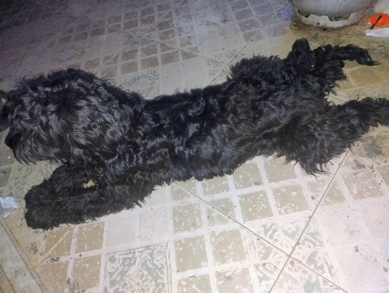 Procuro uma namorada  - Foto 2