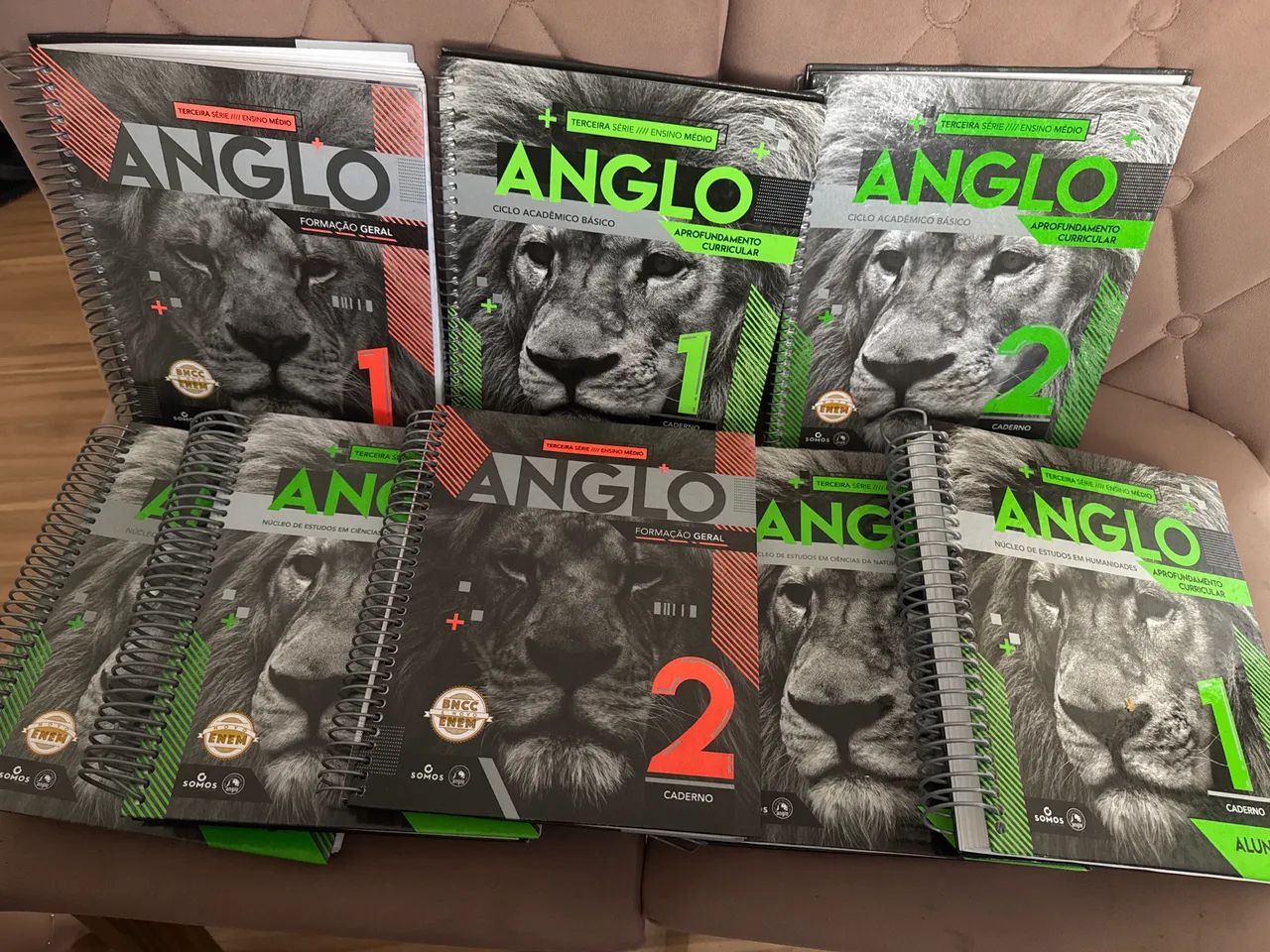 Livros Anglo Seminovos - Pouquíssimo Uso (Estado de Novo) 2025