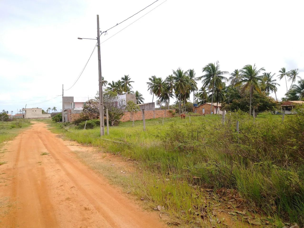 Lote terreno na praia da Caueira  - Foto 5