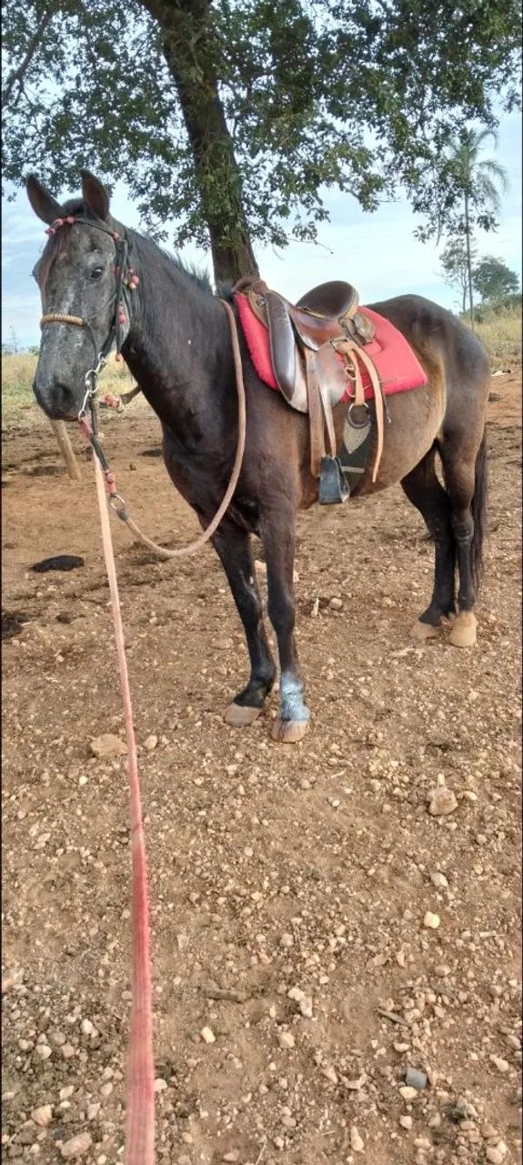 Vendo ou troco  - Foto 2