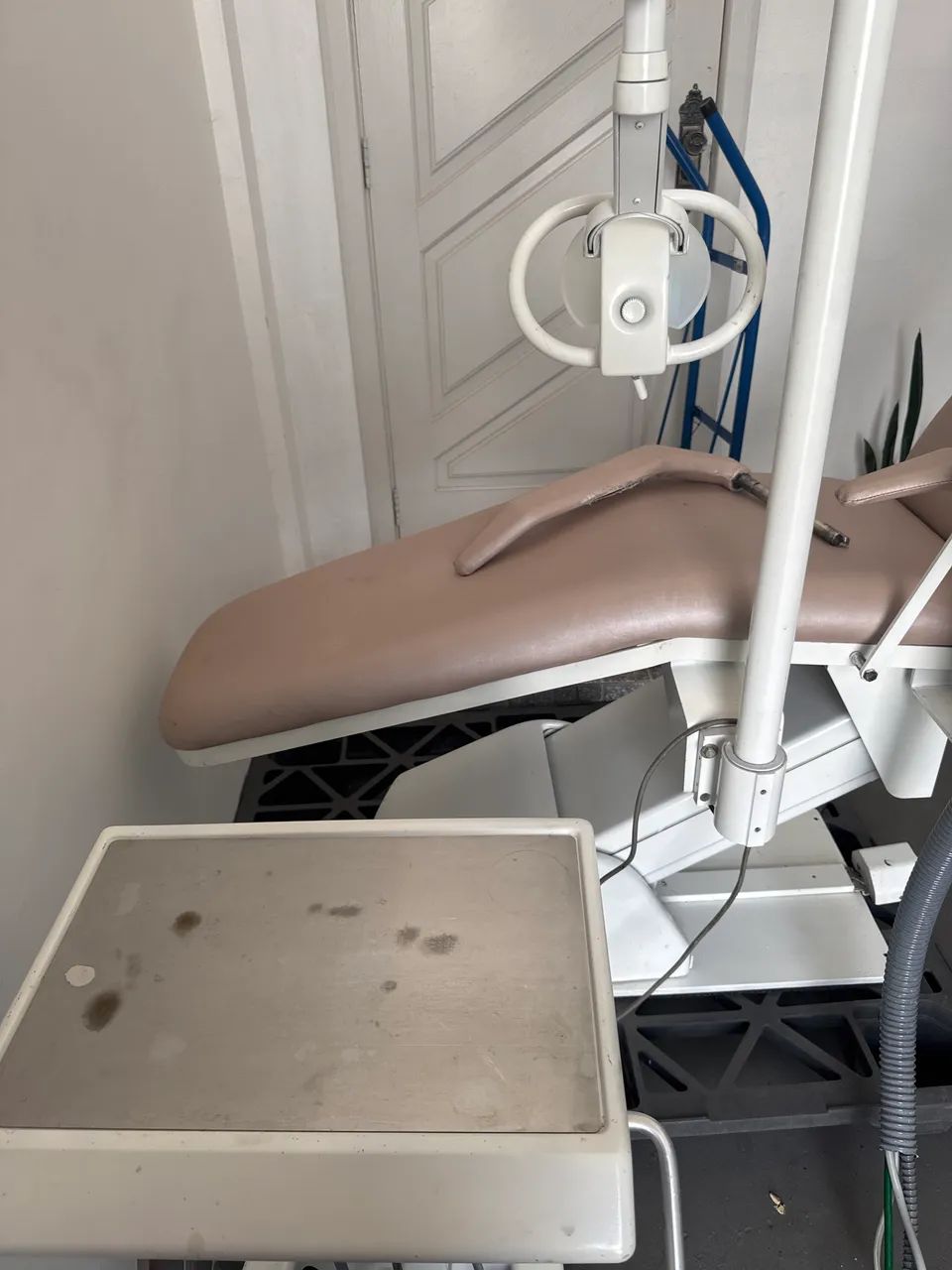 Maca dentista  - Foto 2