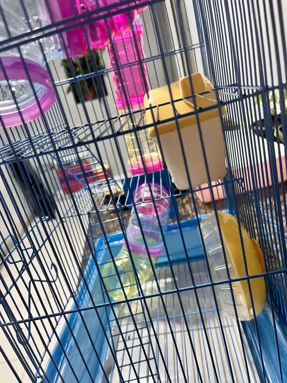 Casa hamster  - Foto 4