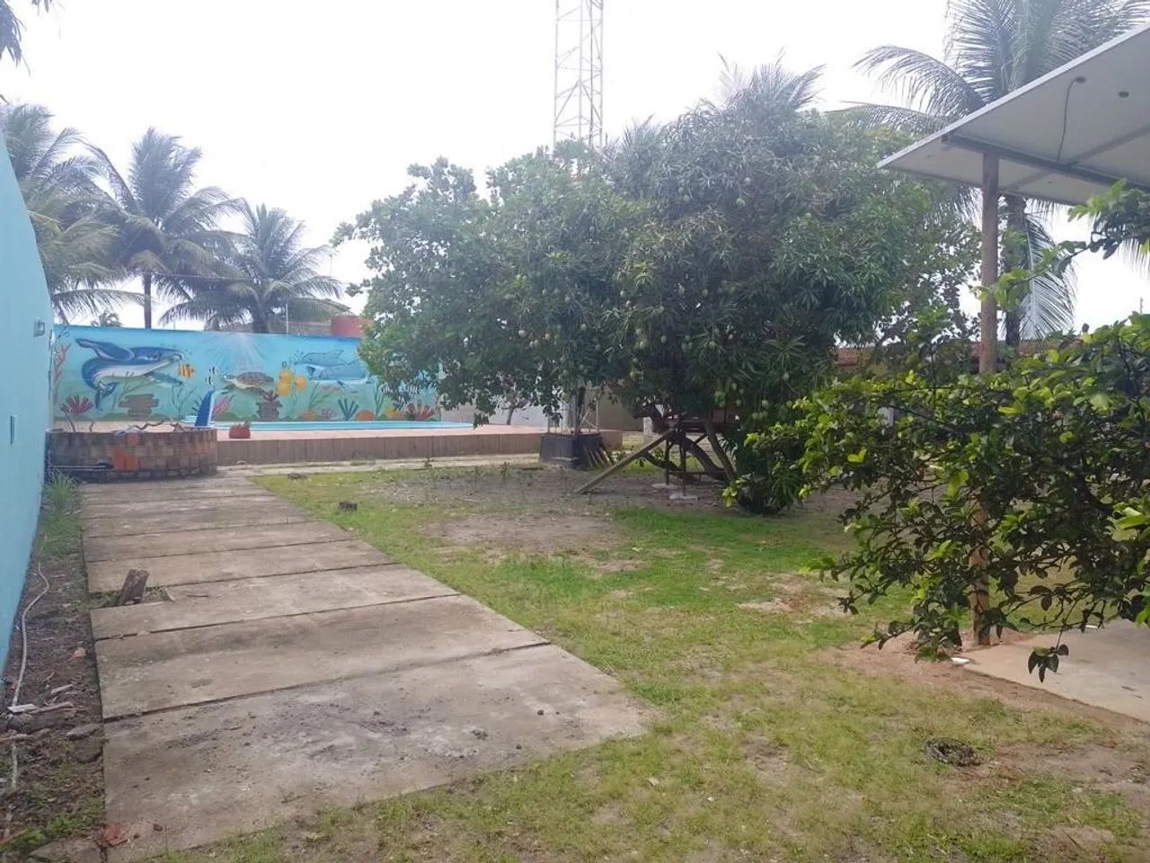 Foto - Marechal Deodoro - 