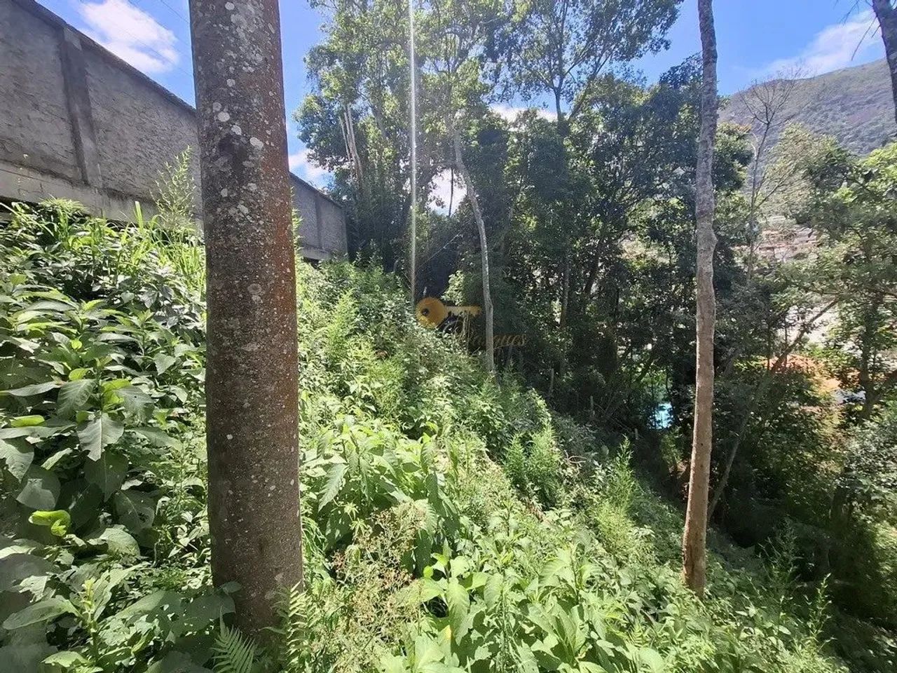 Terreno para Venda em Teresópolis, Araras - Foto 4