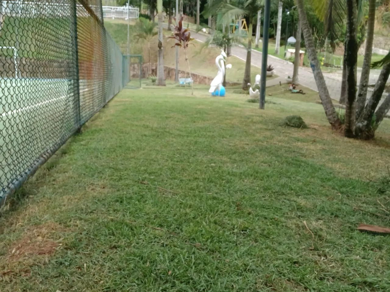 Paisagismo e jardinagem 