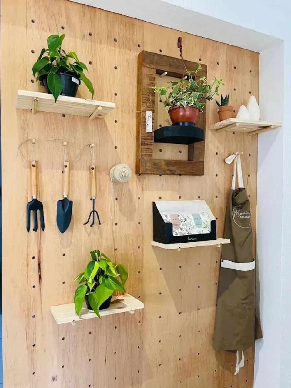 VENDA DE FLORICULTURA E LOJA DE PRESENTES COMPLETA - CENTRO DE POMERODE - Foto 3