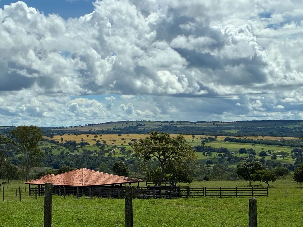 Fazenda em Hidrolândia 