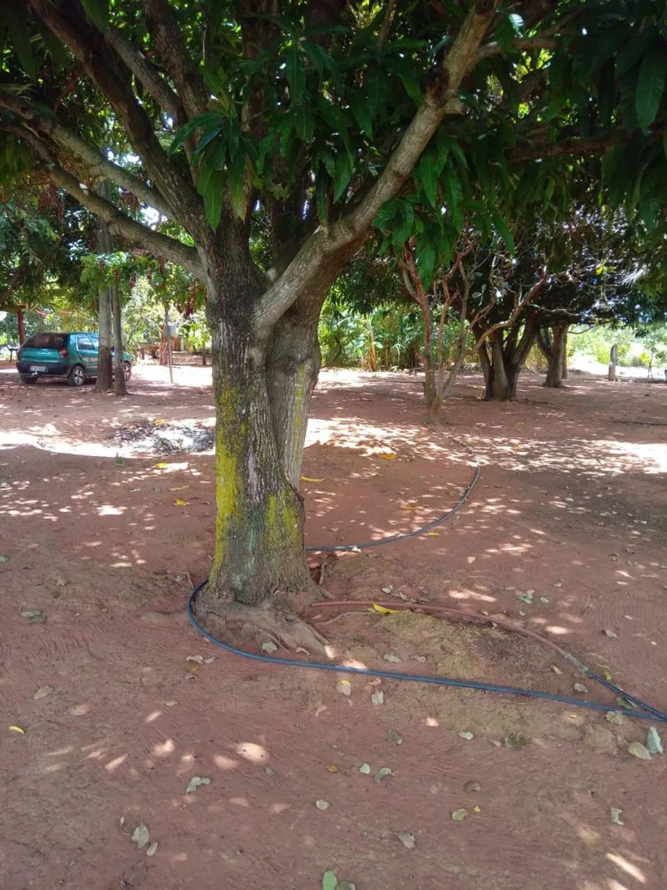 Chácara a venda 