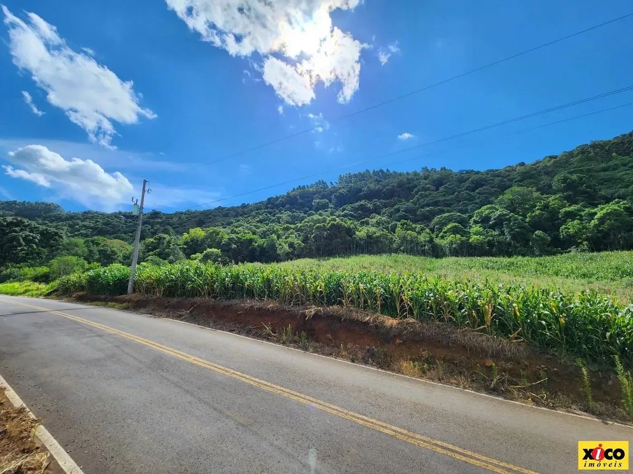 Sítio / Chácara para Venda em Nova Petrópolis, Nove Colonias - Foto 10