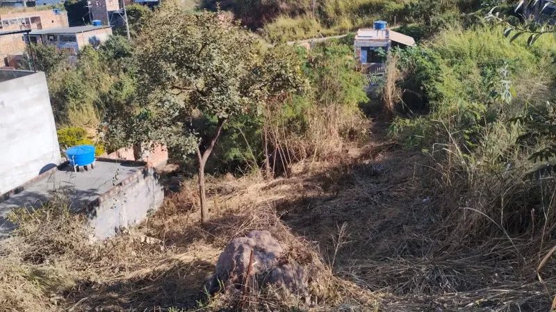 LOTE DE 250 M2 COM AGUA E LUZ - Foto 3