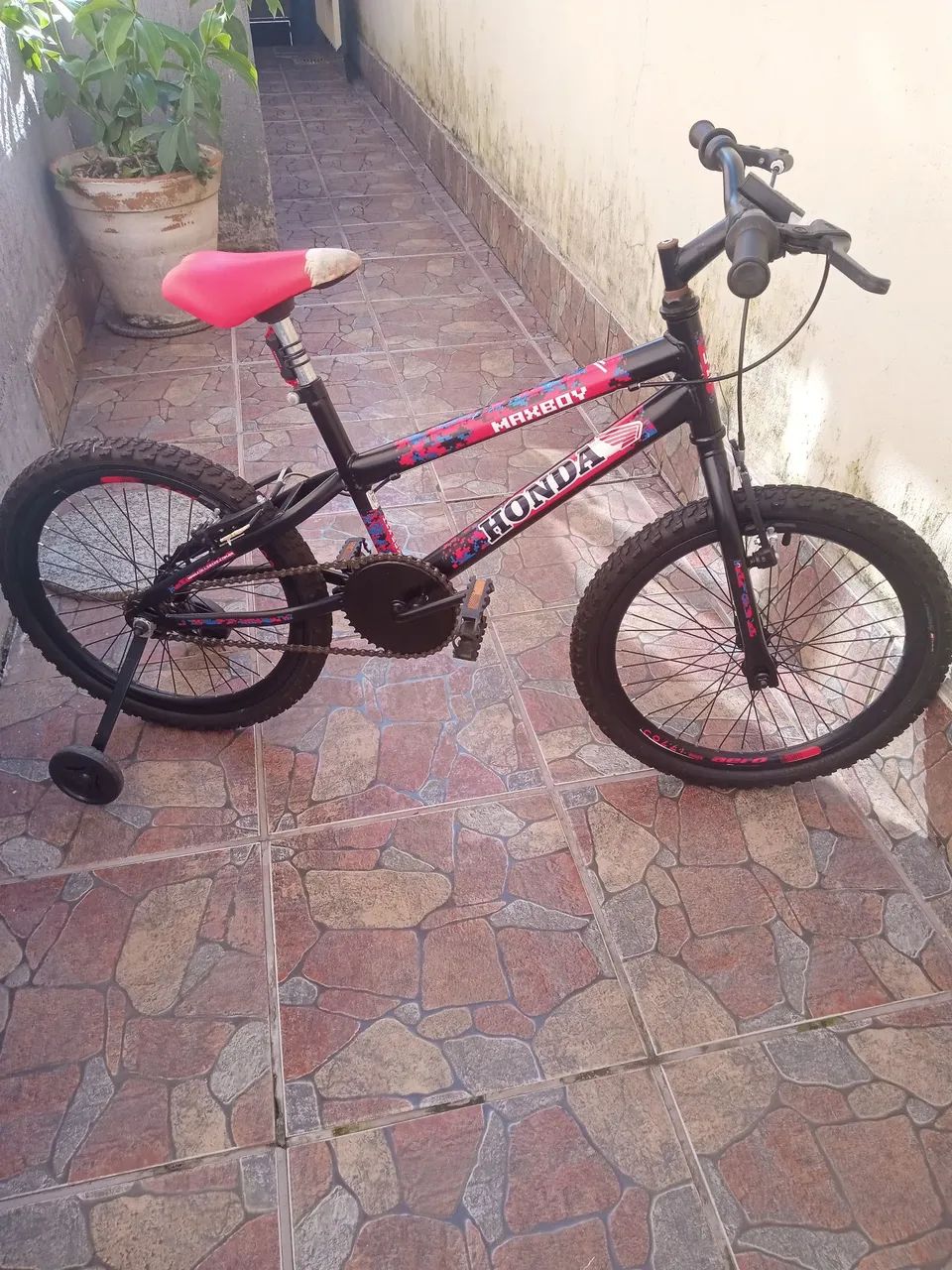 Bicicleta 