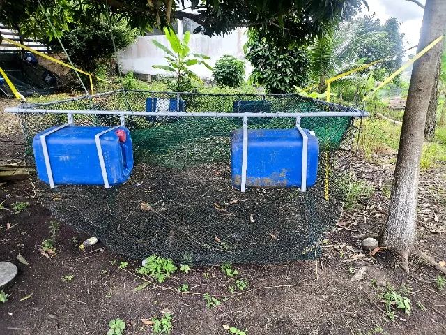 Tanque rede para criação de peixe  - Foto 3