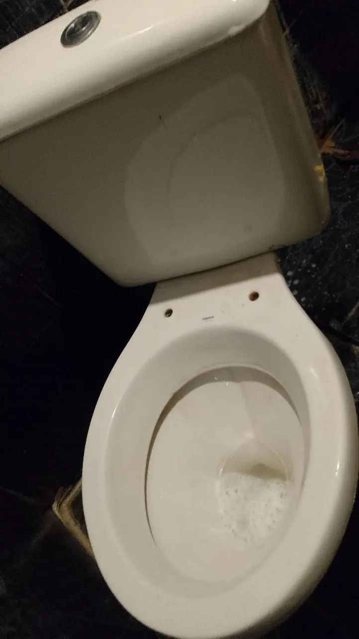Vazo sanitário 