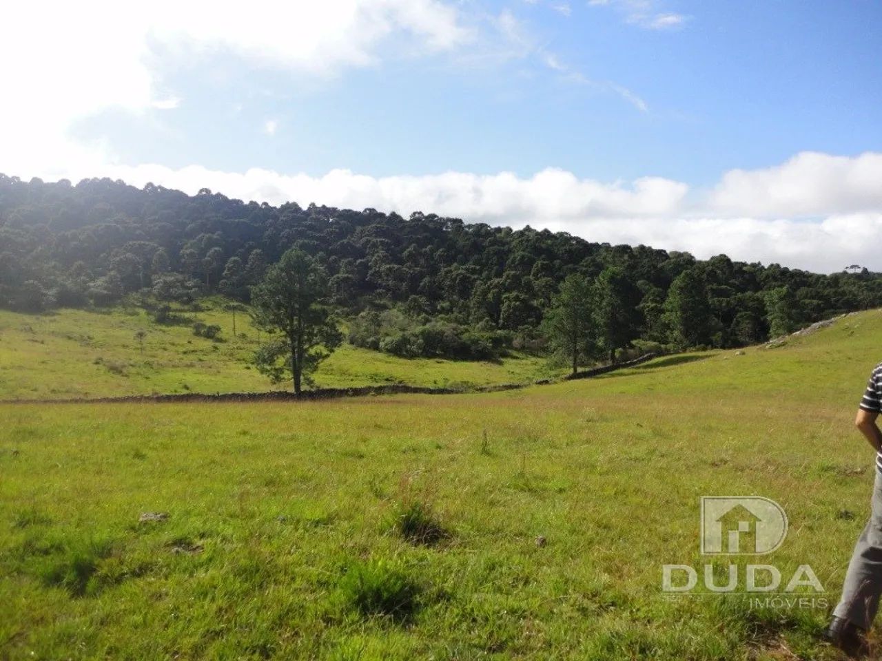 Terreno Rural em Bom Jardim da Serra