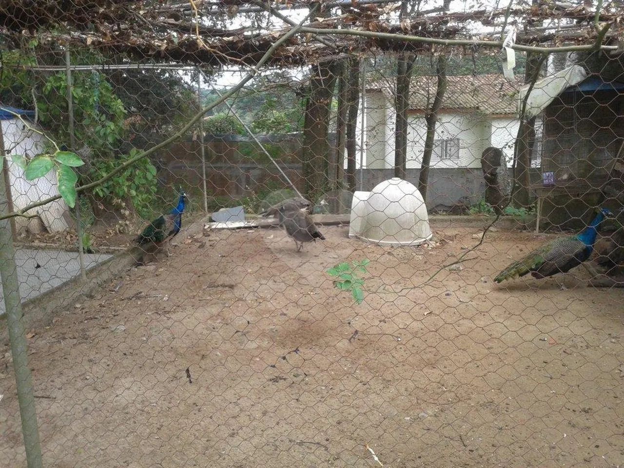 Terreno à venda em Horto florestal - SP - Foto 4