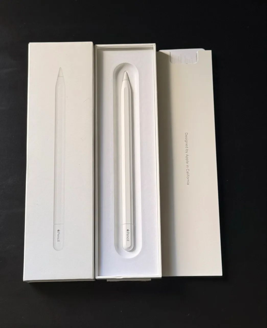 Apple Pencil (USB-C) Original 