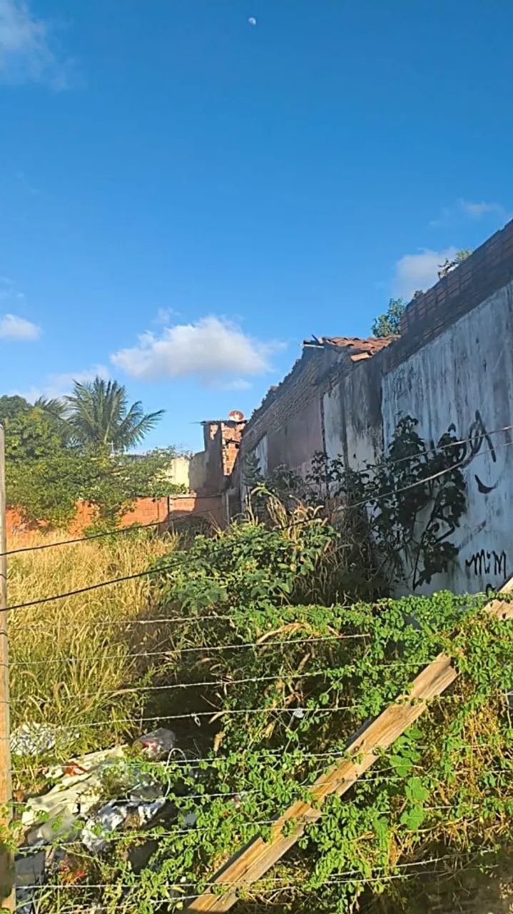 Vendo terreno 