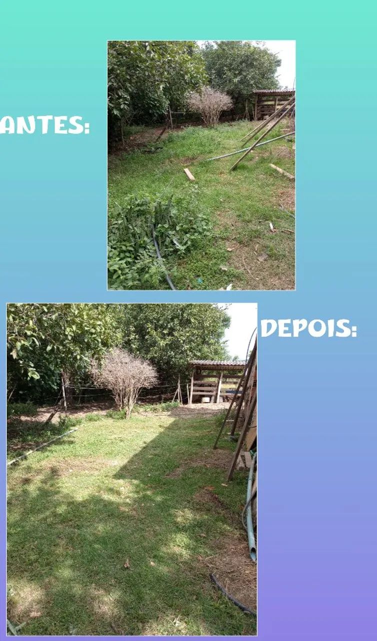 Jardinagem e piscina  - Foto 2