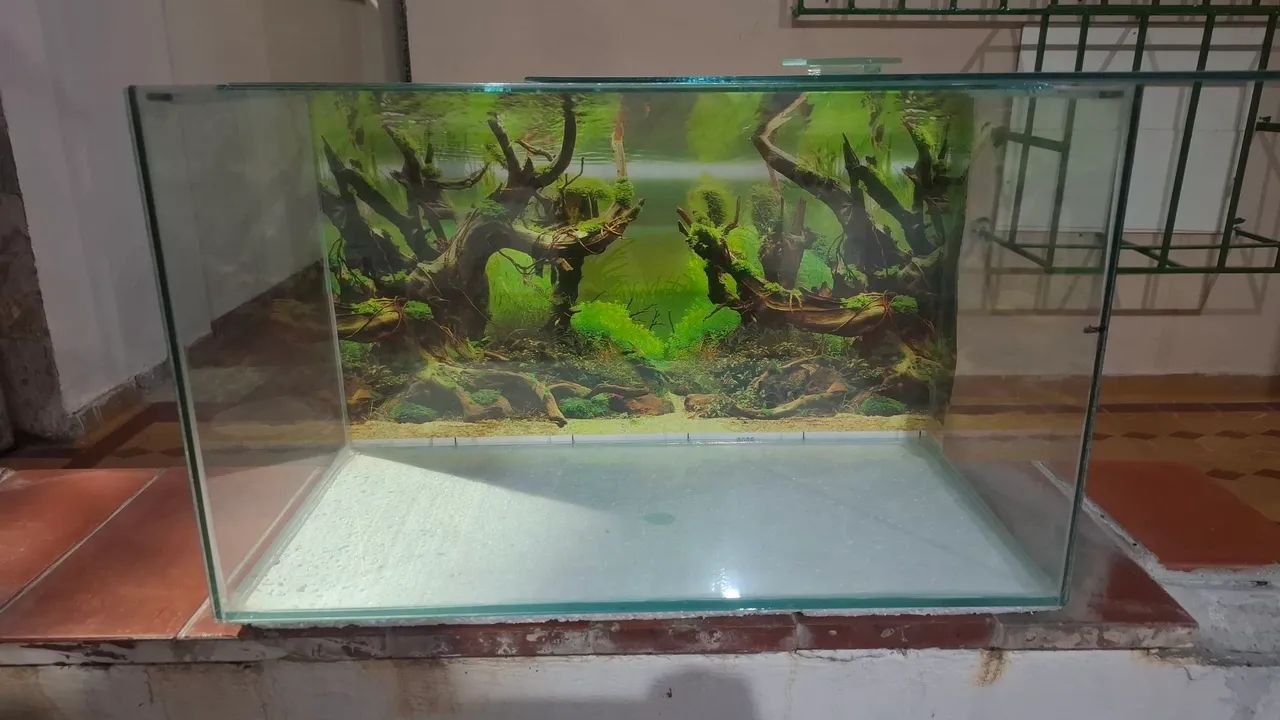 Aquário  - Foto 4