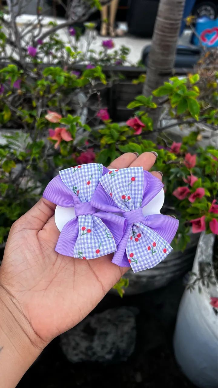 Cecília do laço - Foto 5