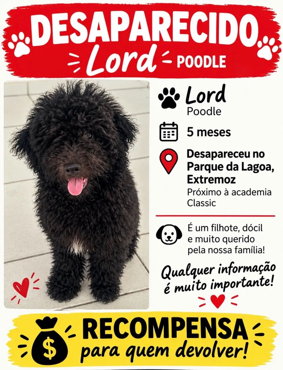 Desaparecido 