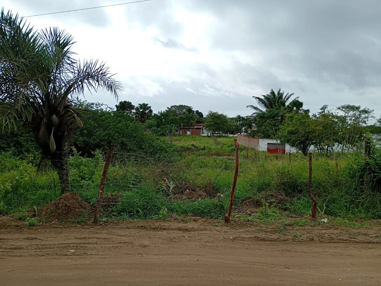 VENDE-SE ROÇA  - Foto 5