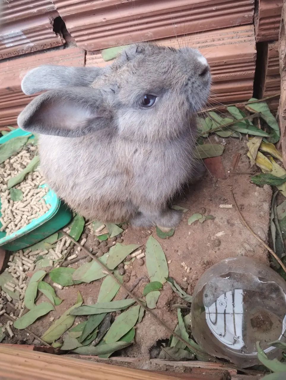 Vendo - Foto 4
