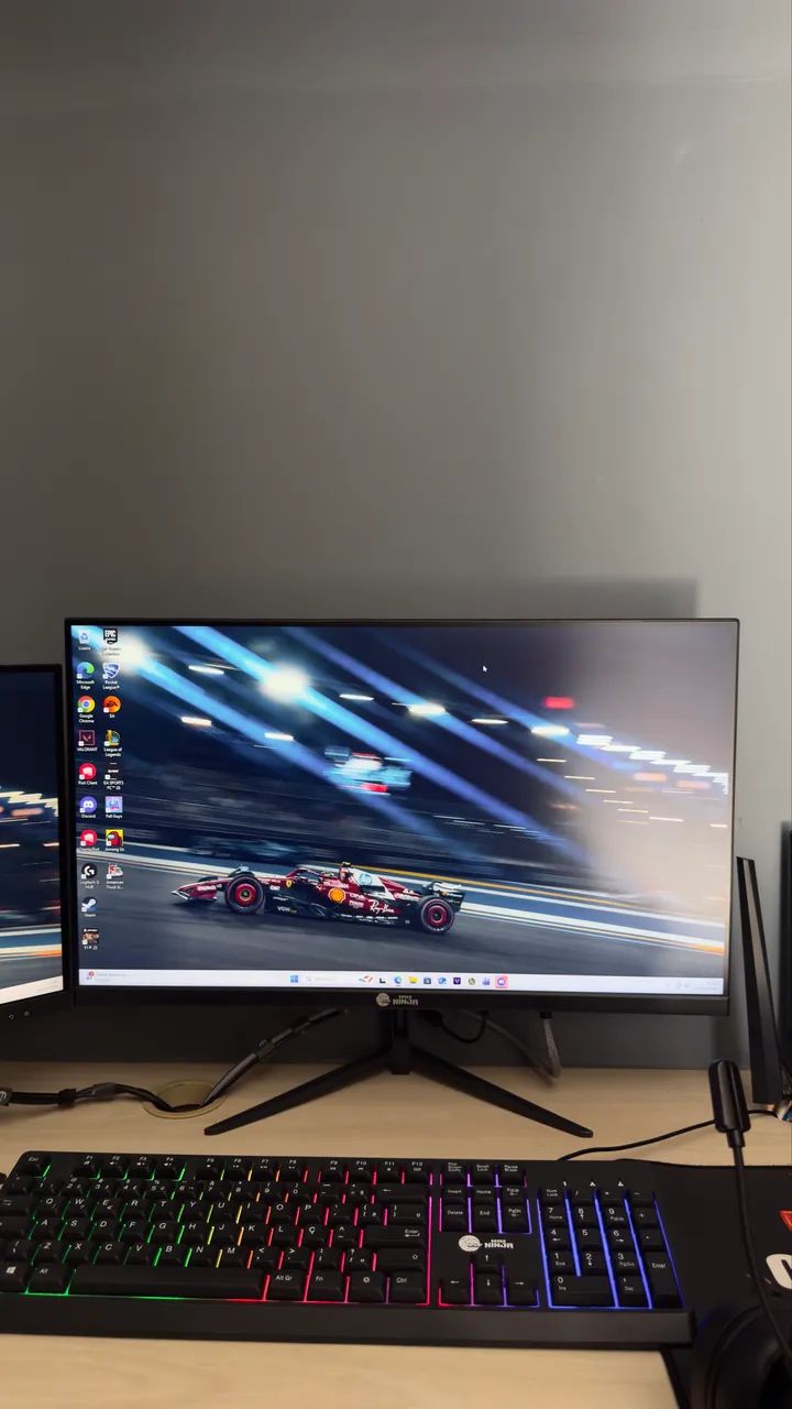 Monitor Gamer Ninja 24?