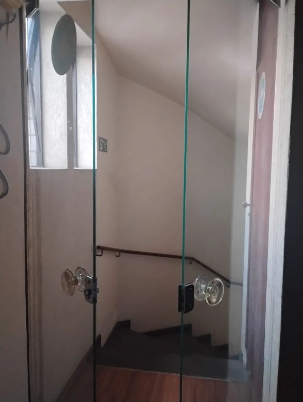 Two-leaf pivot glass door
