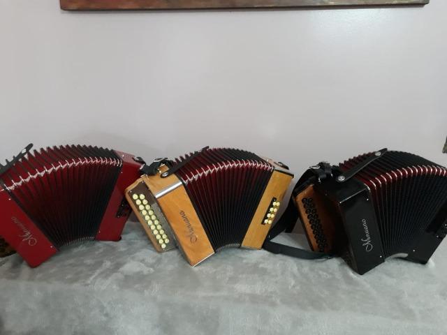 Acordeon 8 Baixos Minuano 8/21 - Foto 4