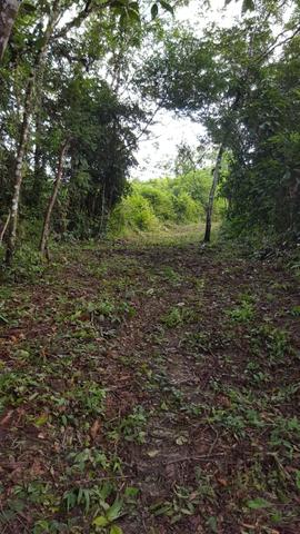 25 hectares documentado por 160 mil reais zap * - Foto 4