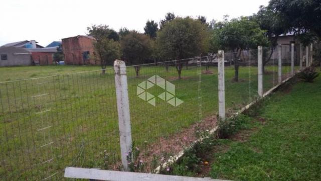 Terreno à venda em Vendinha, Montenegro cod:TE1300 - Foto 6
