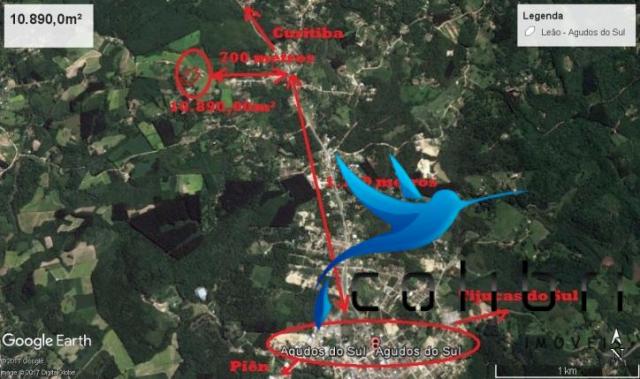 Linda Chácara com 2 casas e tanque em Agudos do Sul - PR - Foto 16