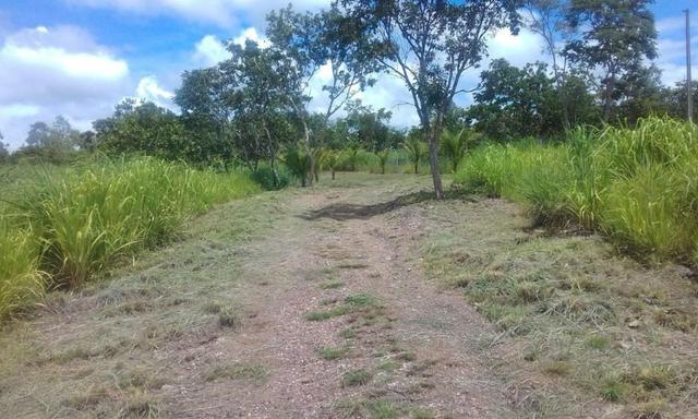 Chacara a venda a 20km de Cuiaba - Foto 6