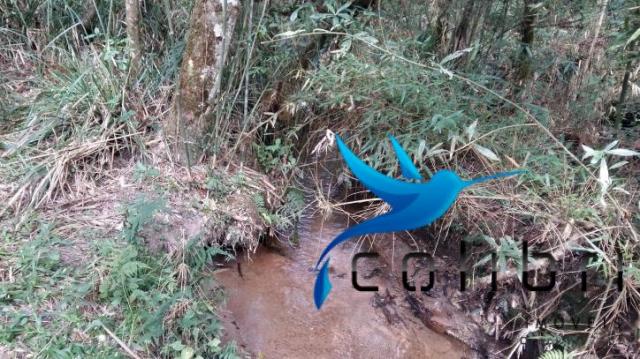 Linda área para lazer ou preservação em agudos do sul - pr - Foto 13