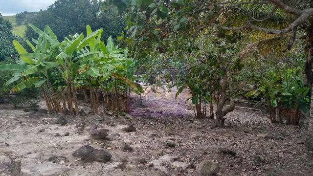 PH - Vendo Granja em Vitória, Venha conferir ! - Foto 20