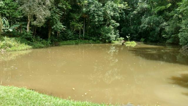 Sítio com 20.000 m²,casa rustica,3 belos na propriedade - Foto 4