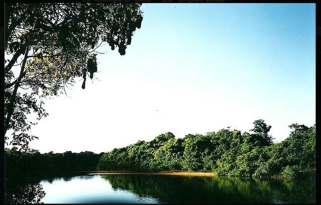 Vendo uma fazenda de 10.257 hectares, em Cocalinho- mt - Foto 3